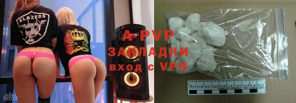 ПСИЛОЦИБИНОВЫЕ ГРИБЫ Белокуриха