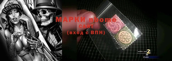 ПСИЛОЦИБИНОВЫЕ ГРИБЫ Белокуриха