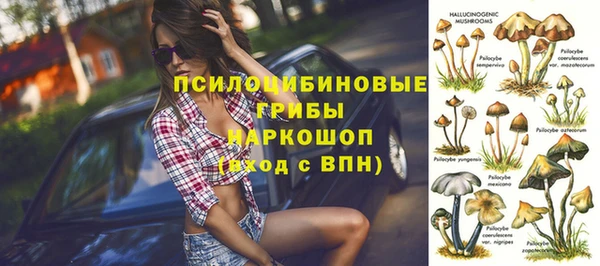 ПСИЛОЦИБИНОВЫЕ ГРИБЫ Белокуриха
