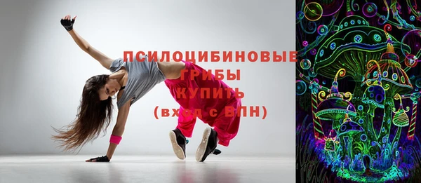 ПСИЛОЦИБИНОВЫЕ ГРИБЫ Белокуриха