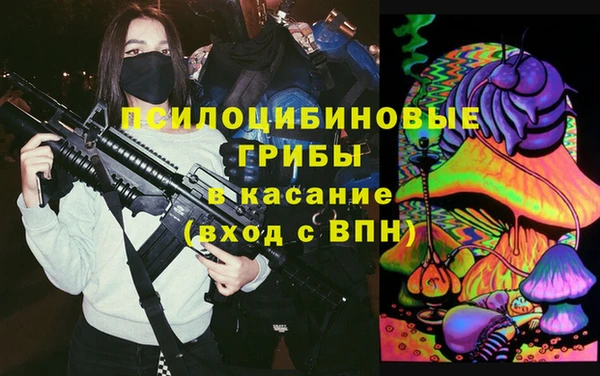 ПСИЛОЦИБИНОВЫЕ ГРИБЫ Белокуриха