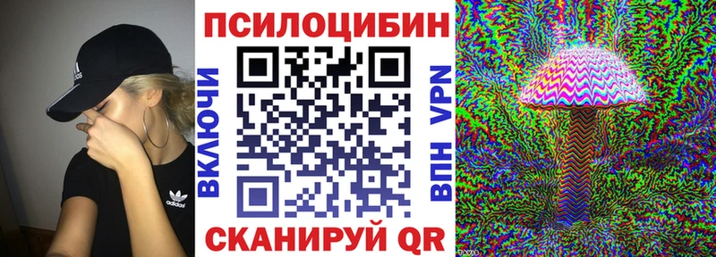 Купить закладки  Орлов  Псилоцибиновые грибы MAGIC MUSHROOMS 